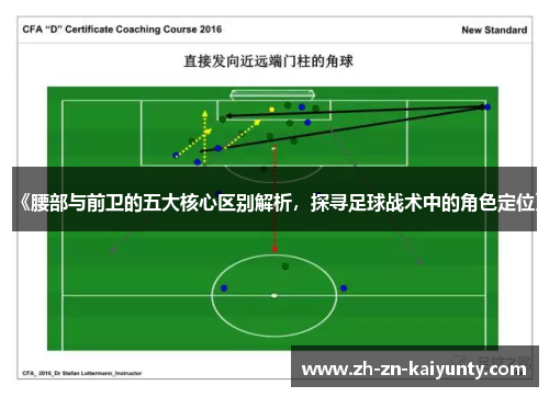 《腰部与前卫的五大核心区别解析，探寻足球战术中的角色定位》