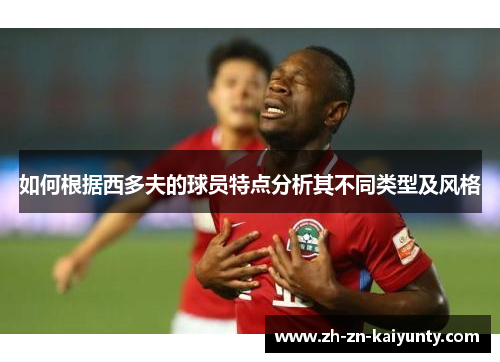 如何根据西多夫的球员特点分析其不同类型及风格