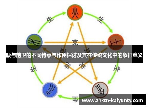 腰与前卫的不同特点与作用探讨及其在传统文化中的象征意义