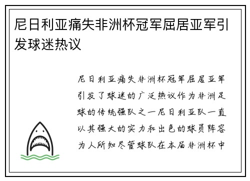 尼日利亚痛失非洲杯冠军屈居亚军引发球迷热议